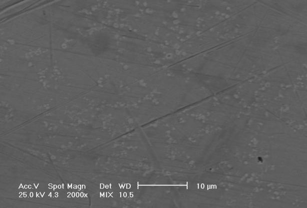 Hard spots and segregation of grain refiner