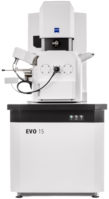 Scanning electron microscope